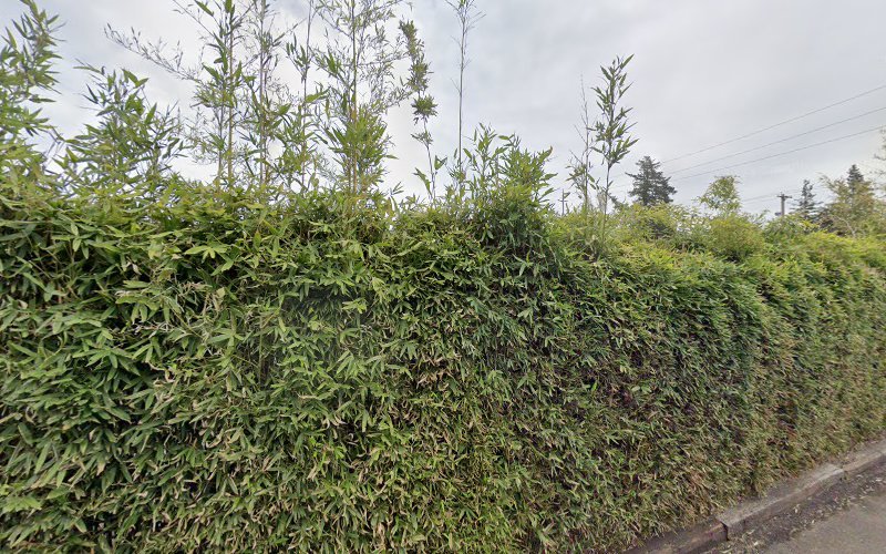 Brand Energy Services